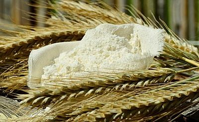 Wheat and Flour