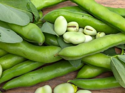 faba beans, peaprotein, plant based vegan meat alternative