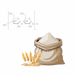 Pregelatinized Native Wheat Starch