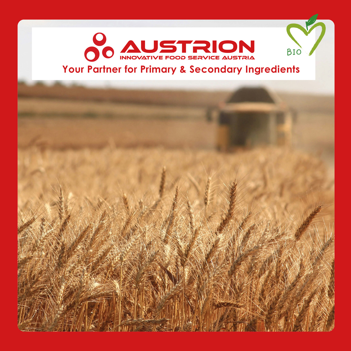 #sustainability #cleanlabel #plantbased #starches #flavouring #peaprotein #protein #flavourings #convenience #bio