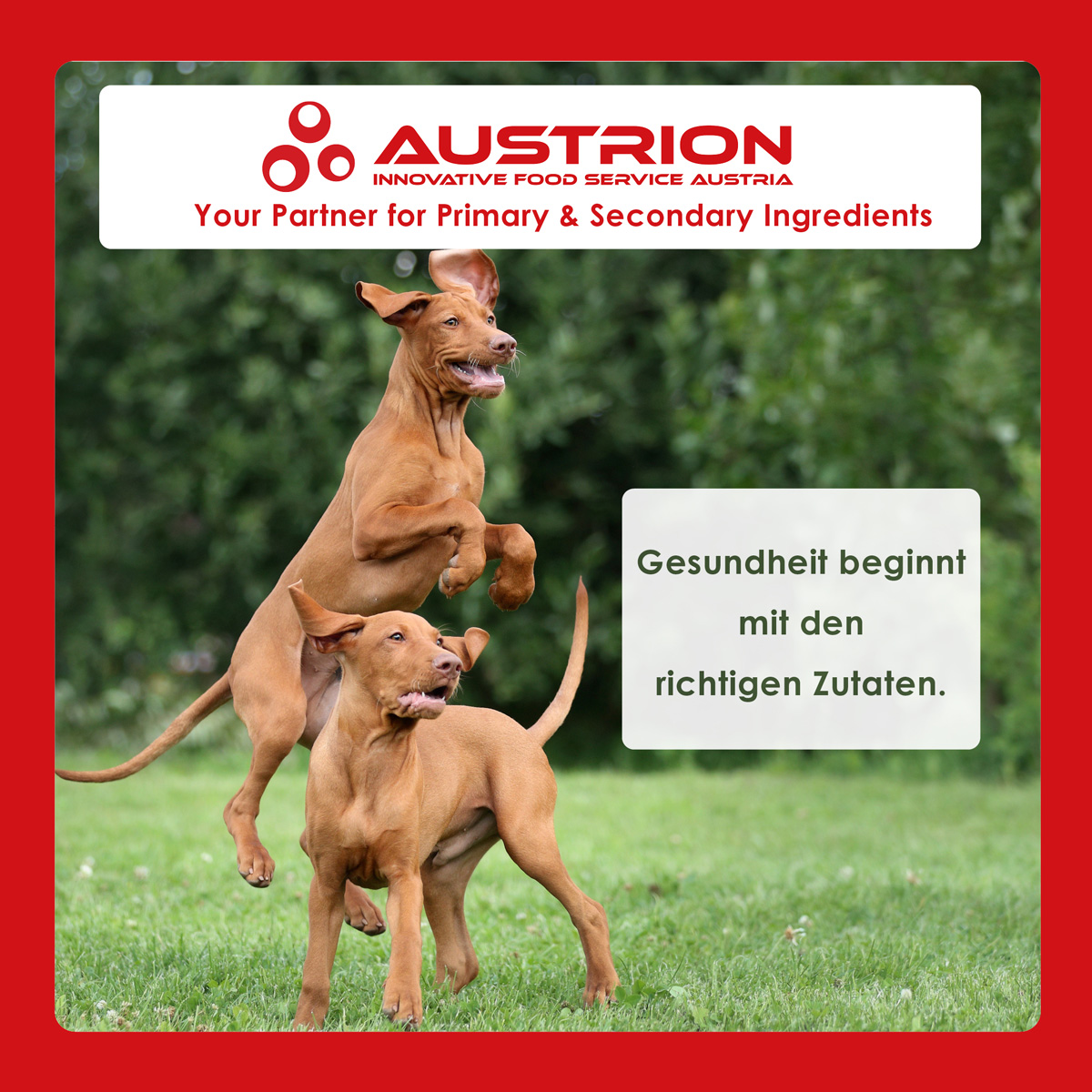 #petfood #foodingredients #bio #cleanlabel #sustainability #flavours #autumn #vienna