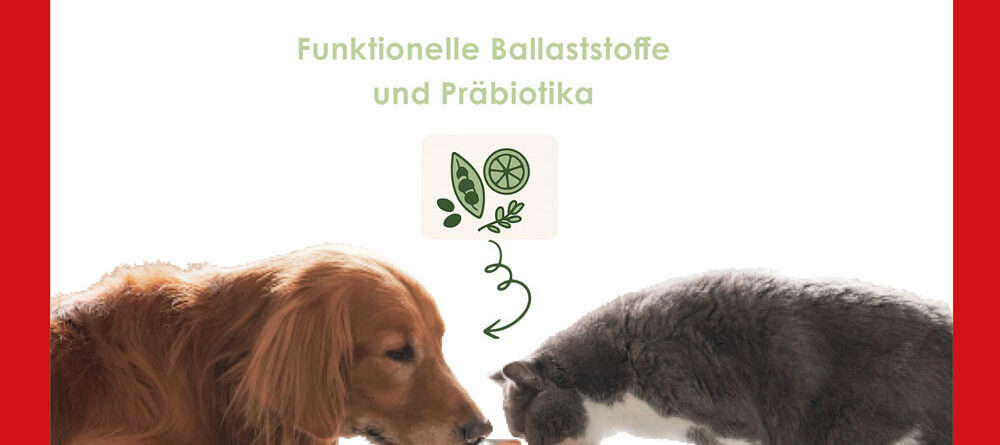 animal nutrition, prebiotic, dog, cat, petfood
