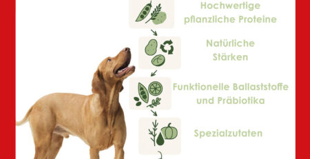 petfood, animal nutrition, prebiotic