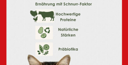 animal nutrition, feed, petfood , organic starches, proteins prebiotic
